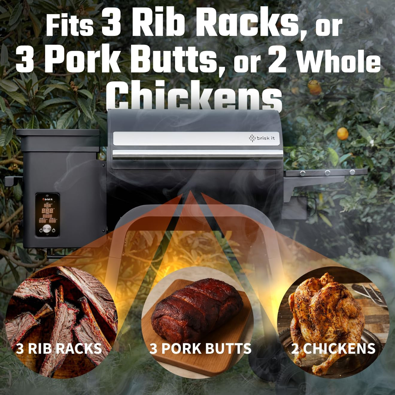 Zelos 450 Electric Pellet Smoker Grill Programmable PID Controller