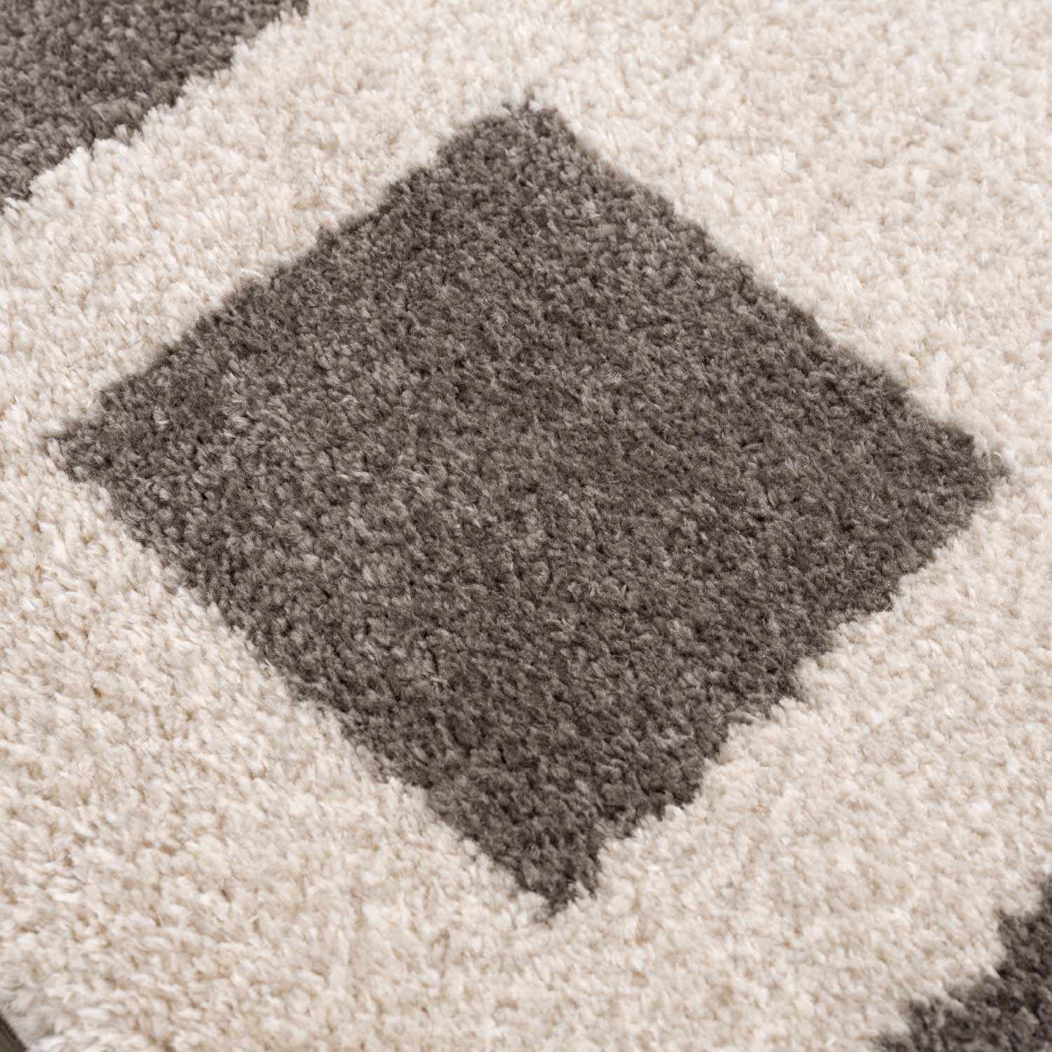 Beynon Charcoal Washable Area Rug