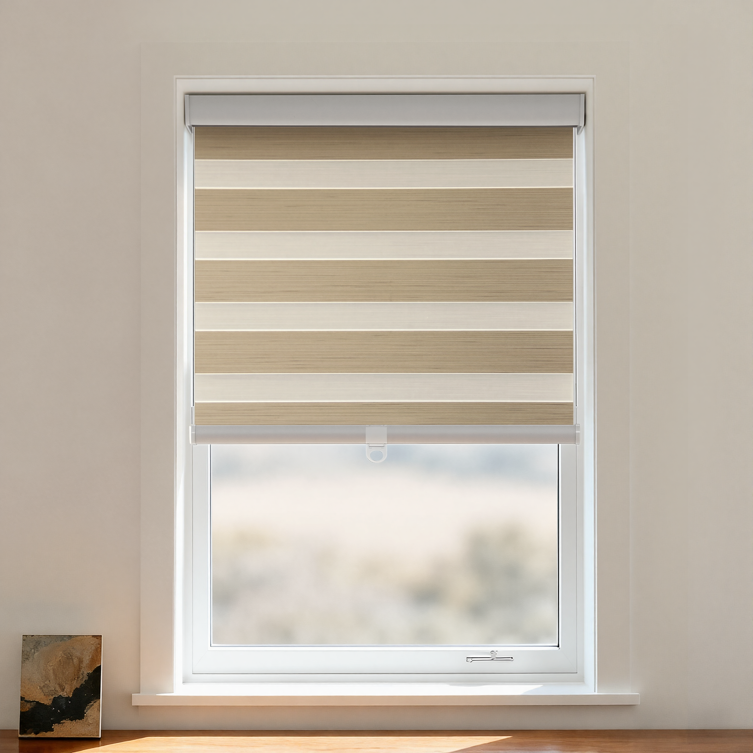 Paola Blackout Zebra Shade Cordless-1