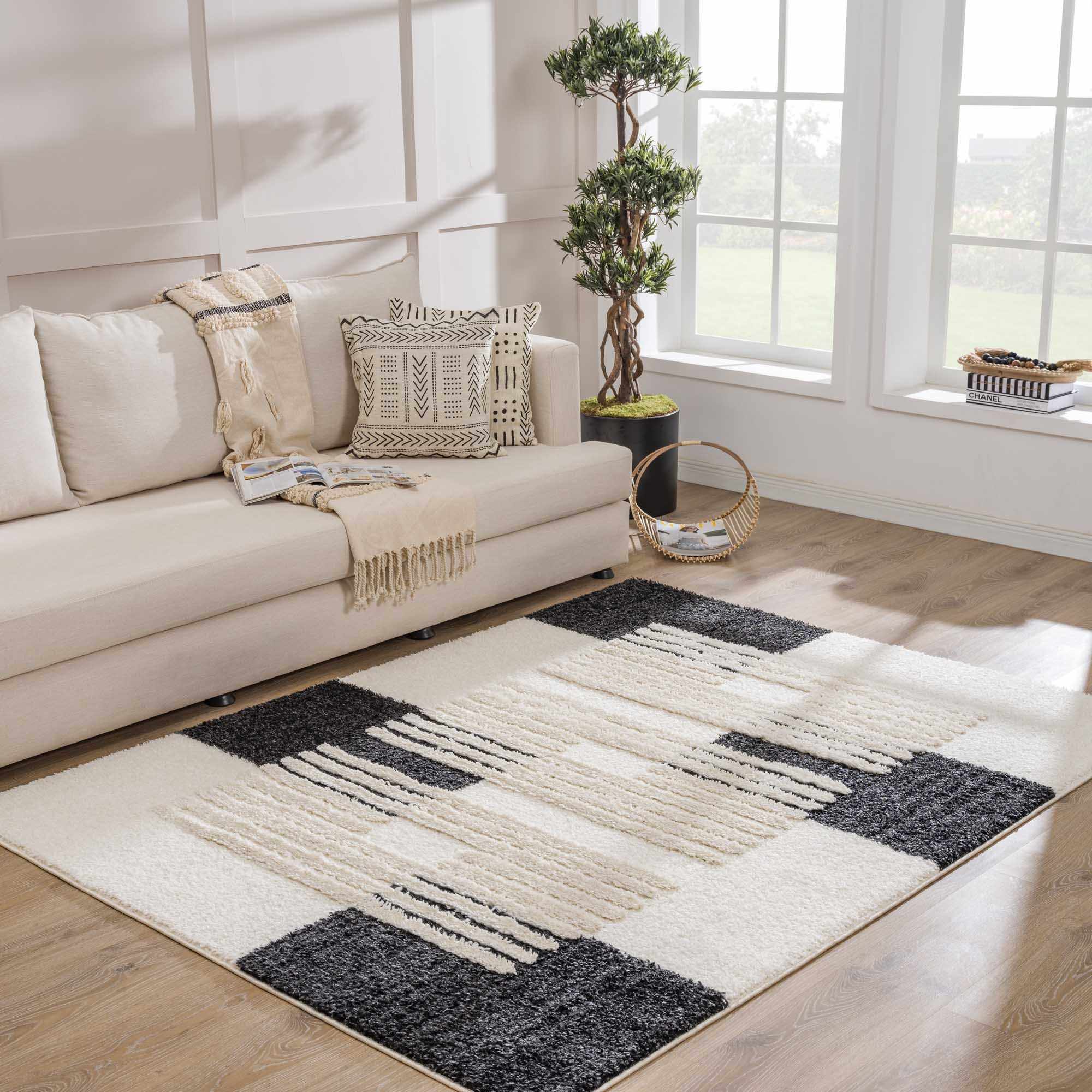 Astro Modern Shag Area Rug
