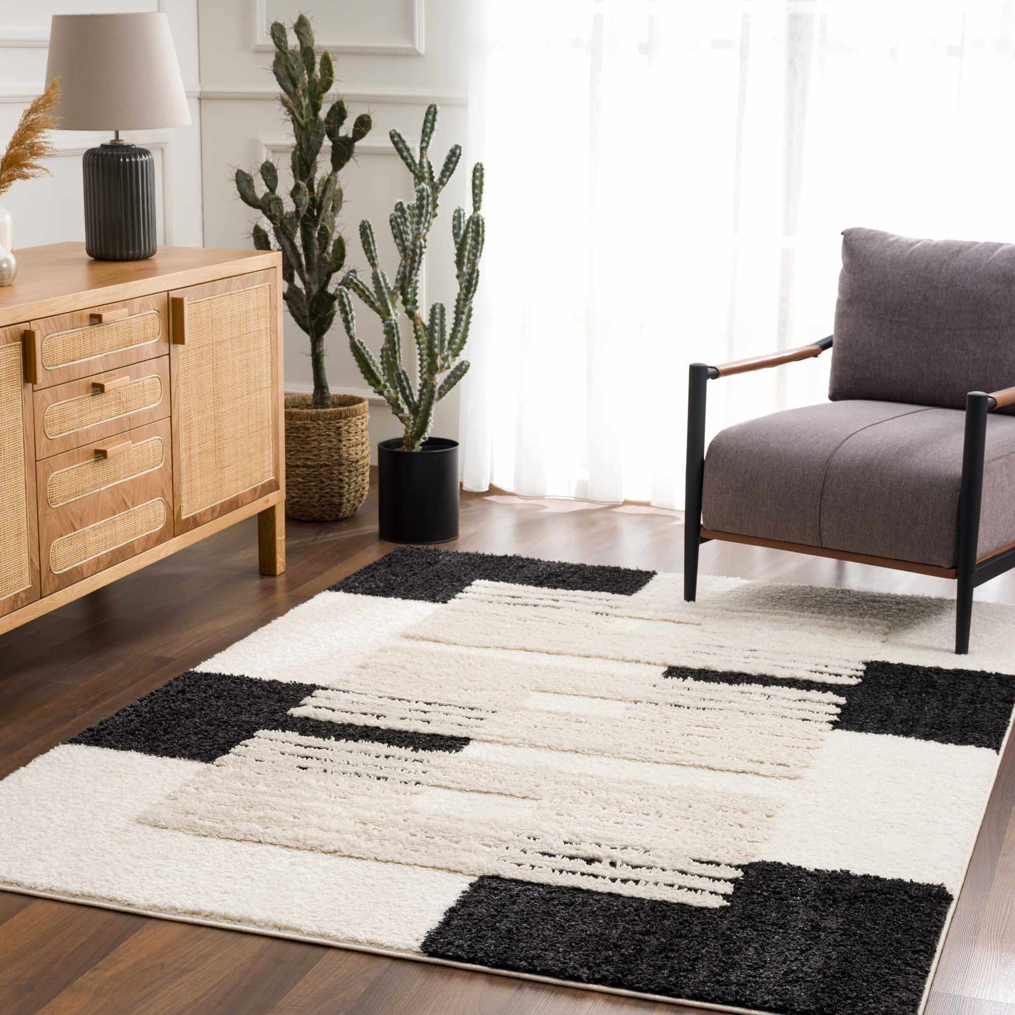 Astro Modern Shag Area Rug