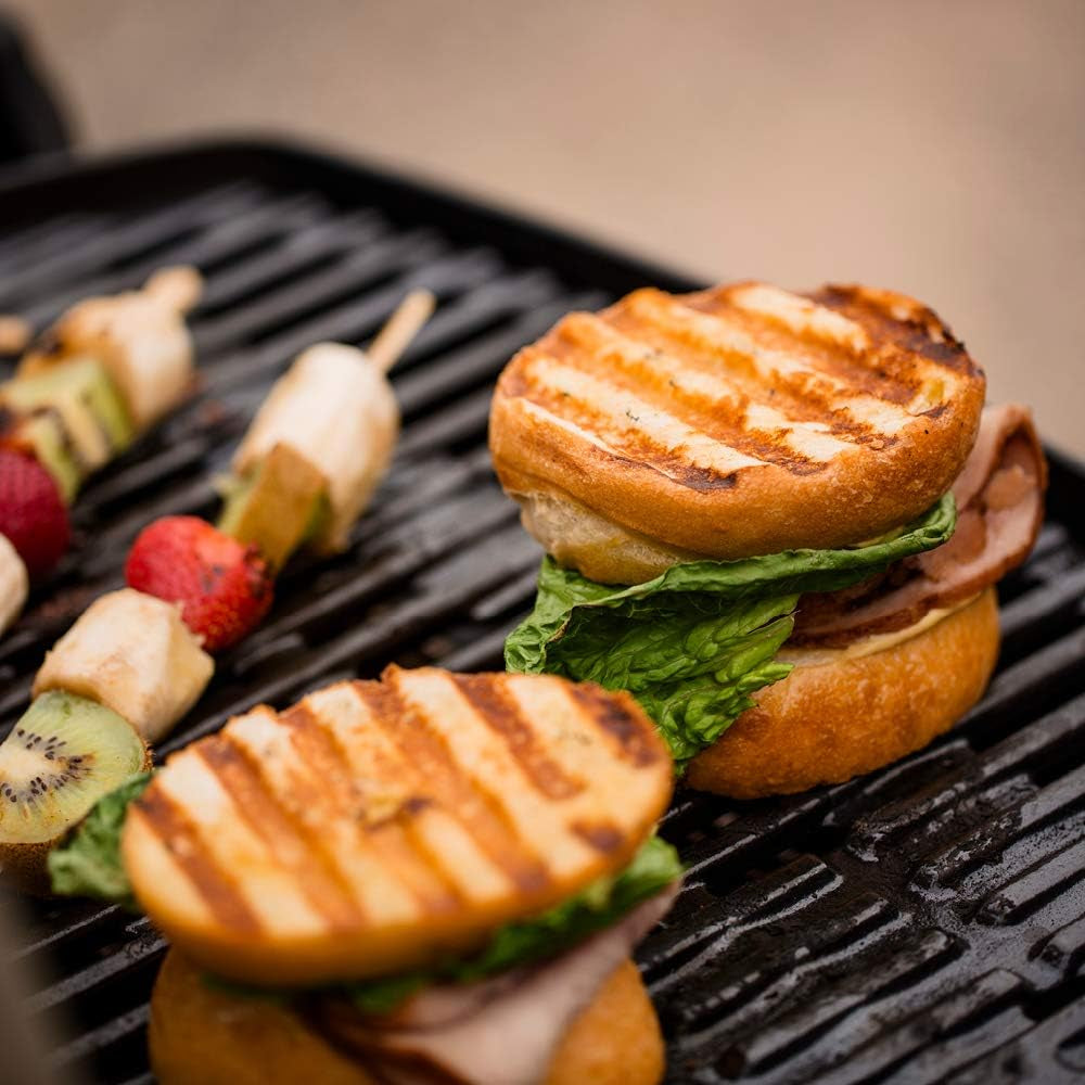 Weber Q1200 Portable Liquid Propane Grill Titanium