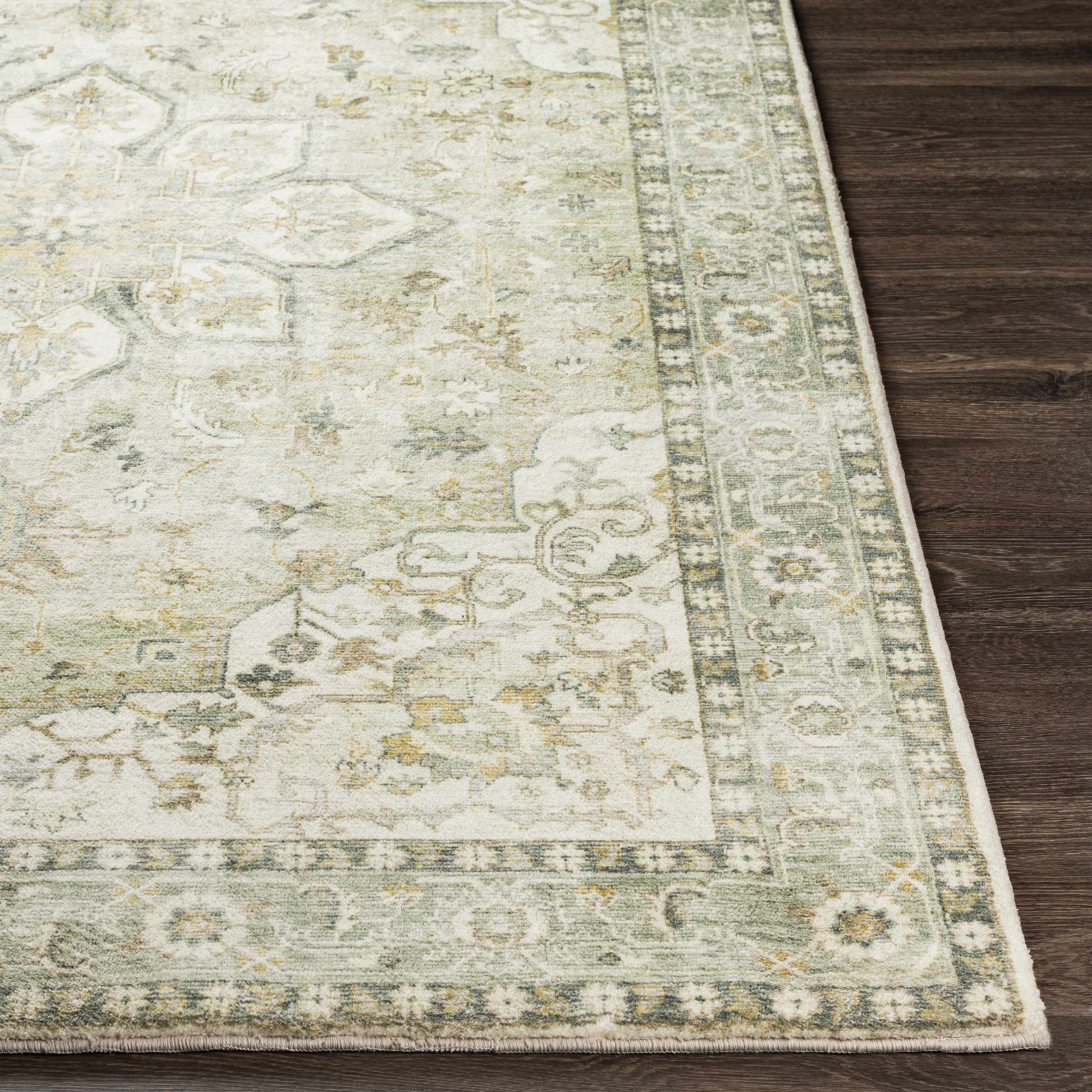 Crondall Sage Traditional Area Rug