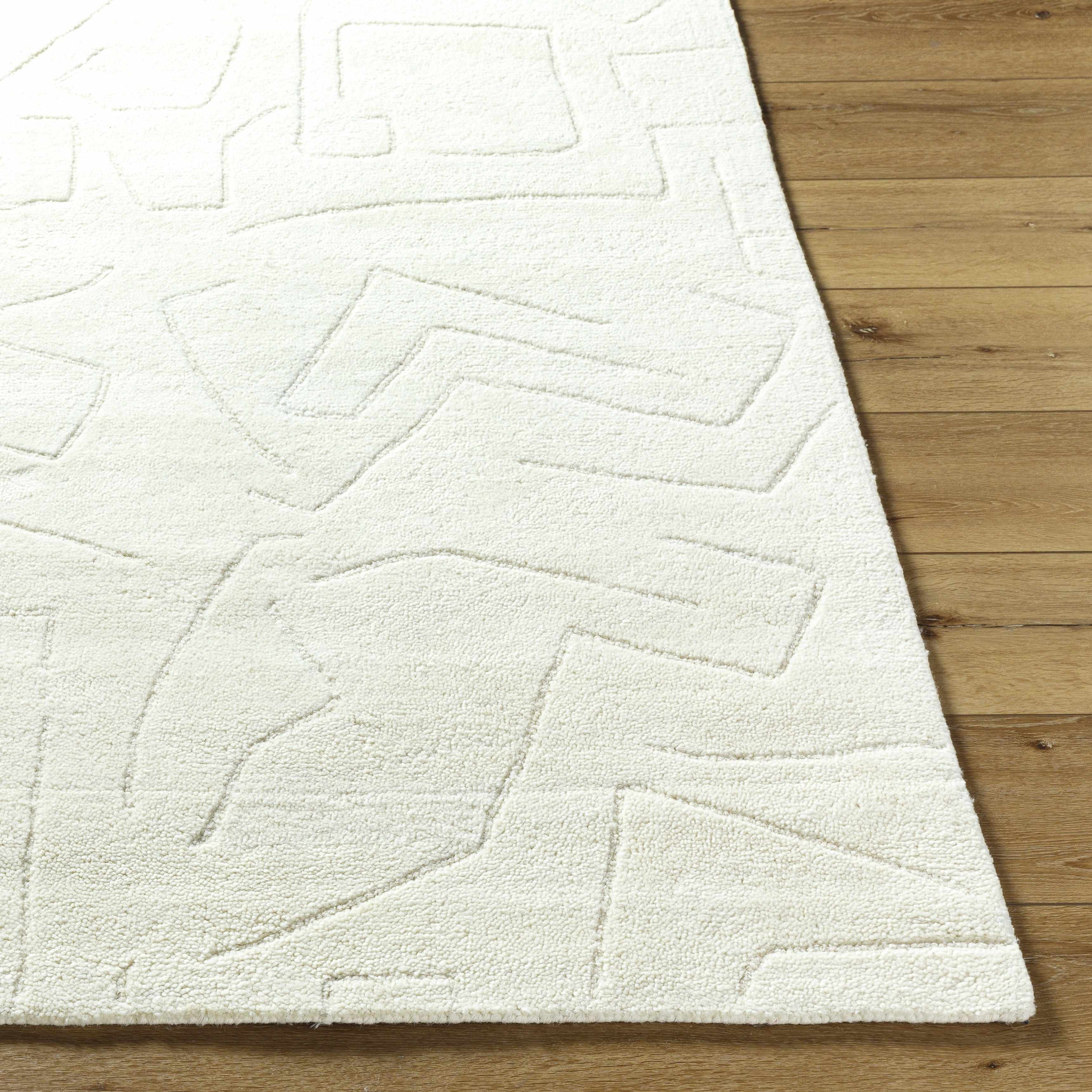 Mony Ivory Area Rug